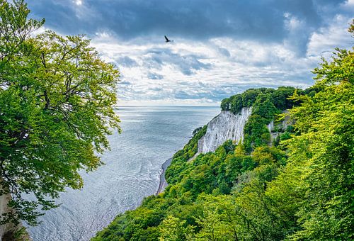 Krijtrotsen aan de kust van Rugen, Duitsland