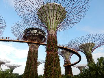 Singapore sur Christine Volpert