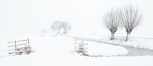 Ein Schneeschauer färbt die Landschaft im Polder weiß - Noordeloos