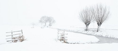 Een sneeuwbui kleurt het landschap wit in de polder - Noordeloos