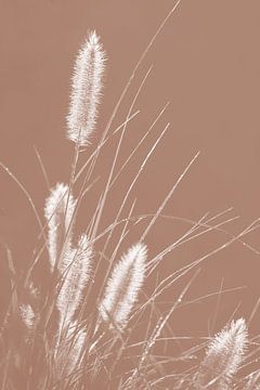 White Grasses on Mocha Mousse by Imladris Images
