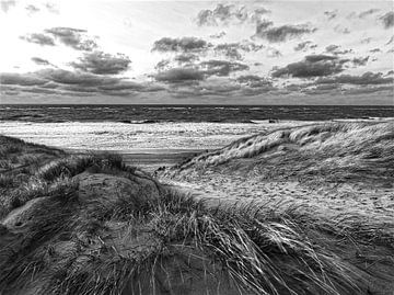 strand van Texel in zwart/wit van Pictures by Van Haestregt