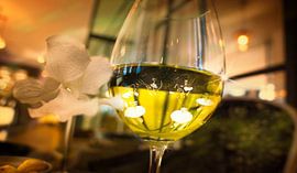 0232 Jubel von Adrien Hendrickx