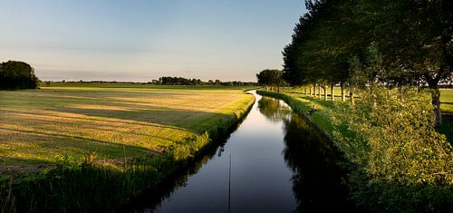 Vissen aan de Warffumermaar