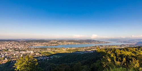 Uitzicht van Uetliberg naar Zürich en het meer van Zürich