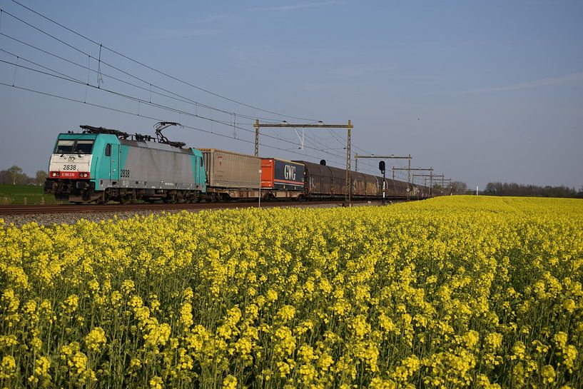Volvo Lineas im Frühjahr von Harold de Groot