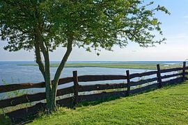 The Szczecin Lagoon on a summer evening