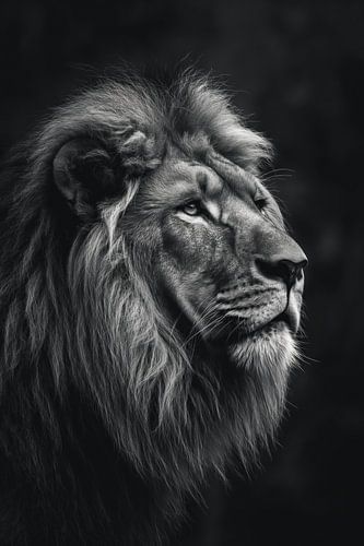 Portret van een leeuw