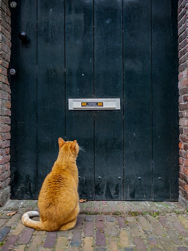 Na een lange nacht buiten
