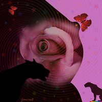 Butterfly Kiss 000157JM