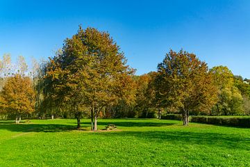 Bomen in een parkje op een veldje in het noorden van Frankrijk van Ivo de Rooij