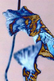 Abstraktie van Ding #001a