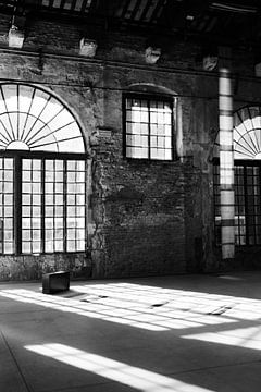 Lichtdurchflutet von Hannah Marahrens