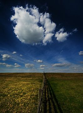 Het gras is altijd groener/The grass is always greener von Harrie Muis