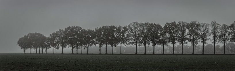 Around Teteringen by Patrick Rosenthal