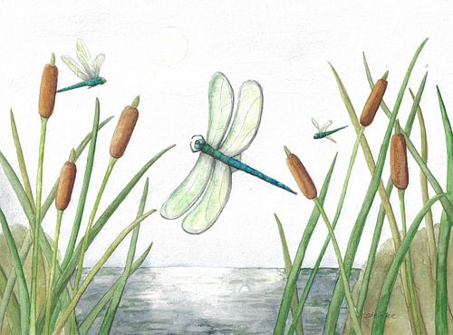 Libellen bij het meer