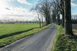 Landelijke weg van Mister Moret