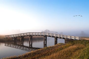 Bridge with fog and geese by Inge van den Brande