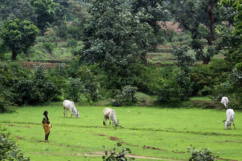 rural India by Cora Unk