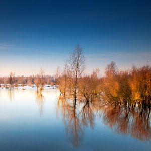 Rote Bäume von Ruud Peters