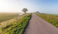 Landweg in de vroege ochtend van Ruud Morijn thumbnail