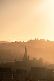 Die ikonostische, gotische Nidaros-Kathedrale, von Lade aus gesehen bei Sonnenuntergang von Koen Lipman