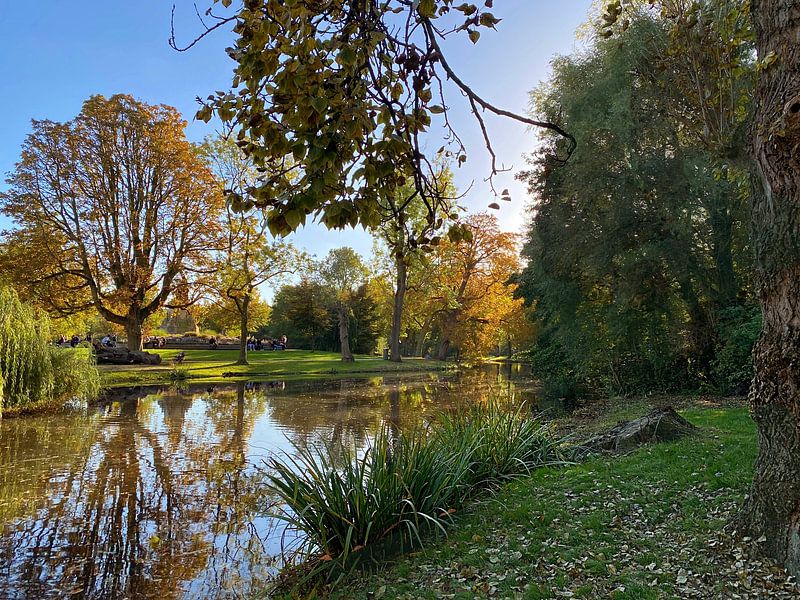Vondelpark Amsterdam. Autumn 2022. by Marianna Pobedimova
