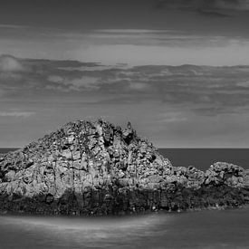 L'île mystérieuse sur Steven Driesen