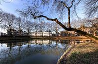 Reflecties van de Catharijnsingel in de Stadsbuitengracht in Utrecht. van André Blom Fotografie Utrecht thumbnail