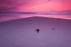 Purple evening at the beach - 2 van Damien Franscoise