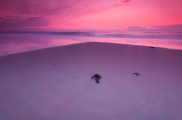 Purple evening at the beach - 2 von Damien Franscoise