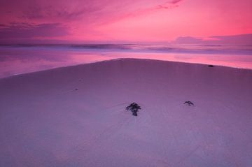 Purple evening at the beach - 2 van Damien Franscoise