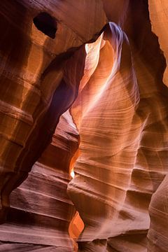 Upper Antelope Canyon by Jeffrey Van Zandbeek