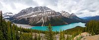 Peyto Lake seen from Bow Summit, Banff National Park, Rocky Mountains, Canada, North America