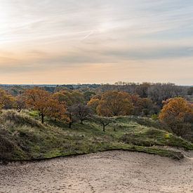 Warmes Sonnenlicht über einer Dünenlandschaft im Herbst von Arjen Tjallema