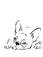 Franse bulldog line art illustratie