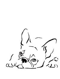 French bulldog line art illustration by Studio Patruschka