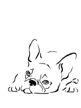 Franse bulldog line art illustratie van Studio Patruschka