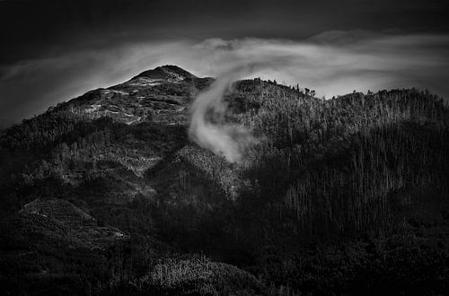 Het mistige berglandschap van Madeira 4