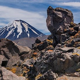 Le volcan du Mont Doom en Nouvelle-Zélande sur Bep van Pelt- Verkuil