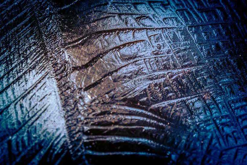 Abstract from Nature #8 by Fred Schuch