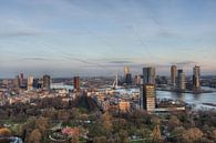 Rotterdam gezien vanaf de Euromast van Esther Seijmonsbergen thumbnail