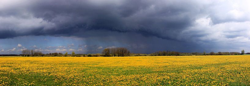 Frühlingsfarben von Hielke Roelevink