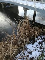 Rietbrug