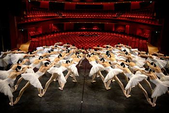 48 Ballerina's