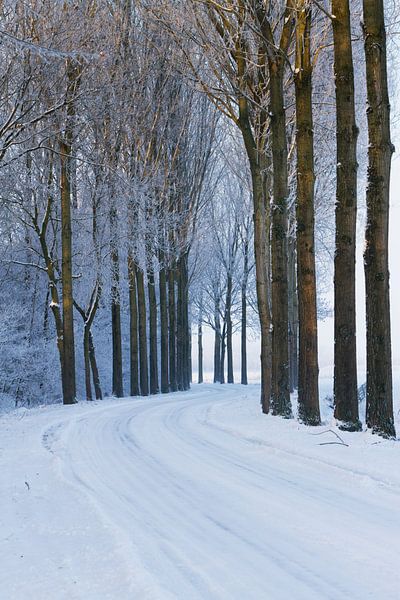 Besneeuwde straat by Marcel van der Voet