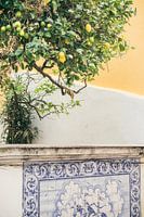 Lemon Tree and Portuguese Tiles