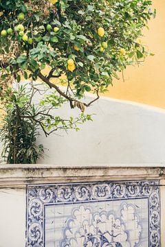 Zitronenbaum und portugiesische Fliesen von Patrycja Polechonska