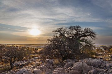 Uitzicht over de zoutvlakte bij Kubu eiland Botswana III van Eddie Meijer