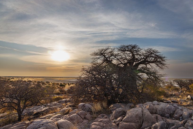 Uitzicht over de zoutvlakte bij Kubu eiland Botswana III van Eddie Meijer